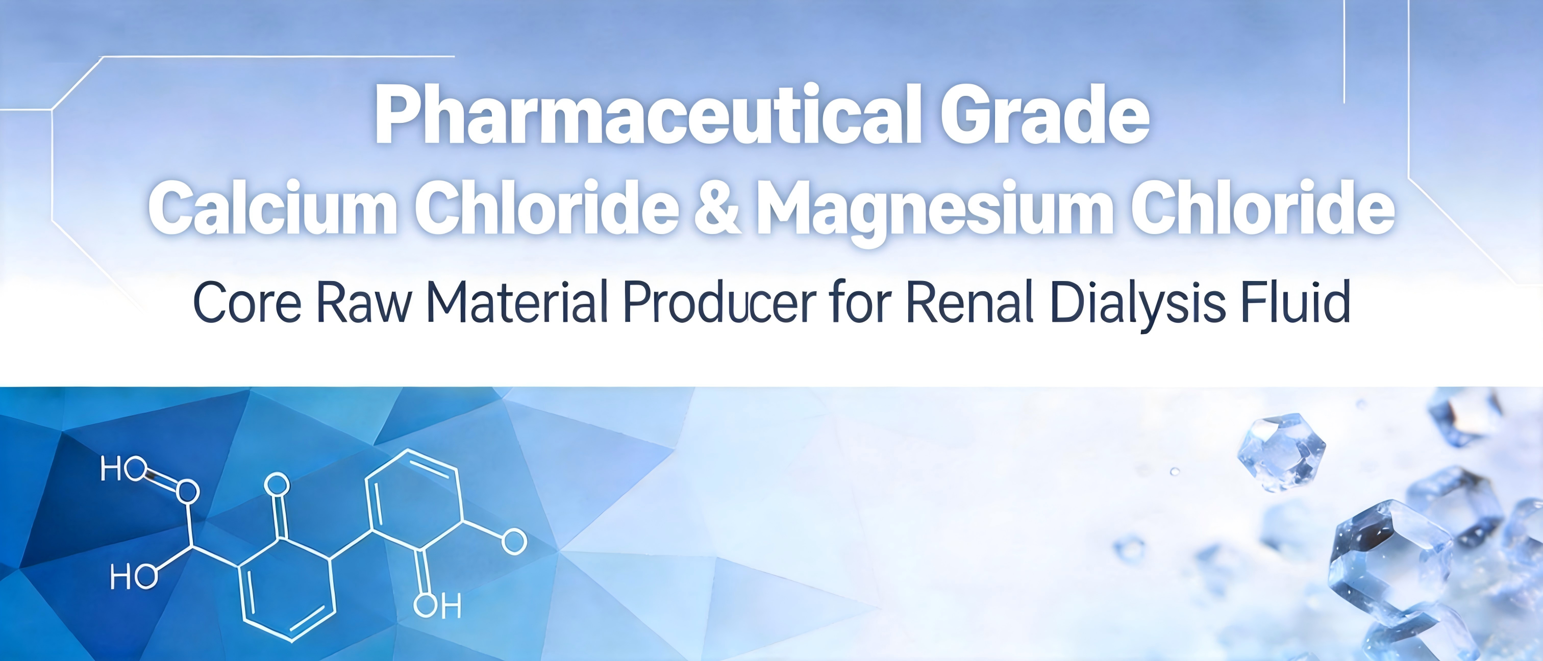 Core Raw Material Producer for Renal Dialysis Fluid 